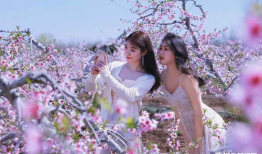 桃花视频在线观看,在线观看，尽享视觉盛宴